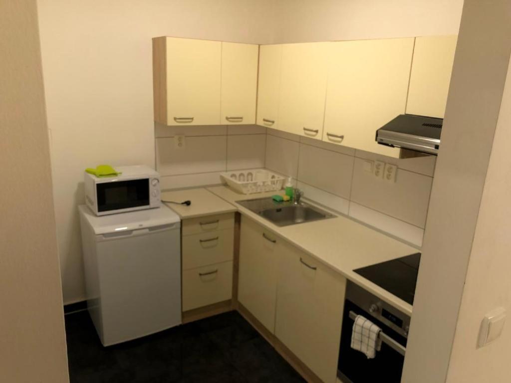 Apartmans In The Center With Privat Parking Daire Brno Dış mekan fotoğraf