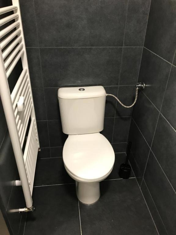 Apartmans In The Center With Privat Parking Daire Brno Dış mekan fotoğraf